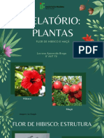 Relatório Plantas