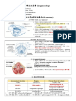 婦女泌尿工作手冊 20201011 1