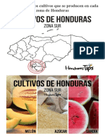 Cultivos por zonas en Honduras