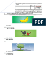 Prueba Diagnòstica 2022 Grado Sexto