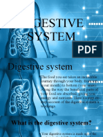 Digestive System