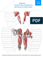 Exercicios Sobre Sistema Muscular Sem Respostas