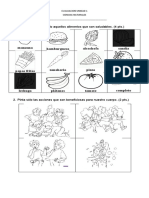 Prueba Ciencias Hábitos Saludables