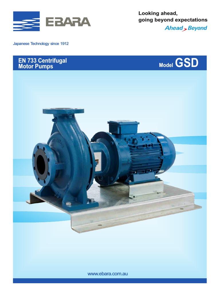 Ebara GSD Pump Overview and Specs | PDF | Pump | Chemical Engineering