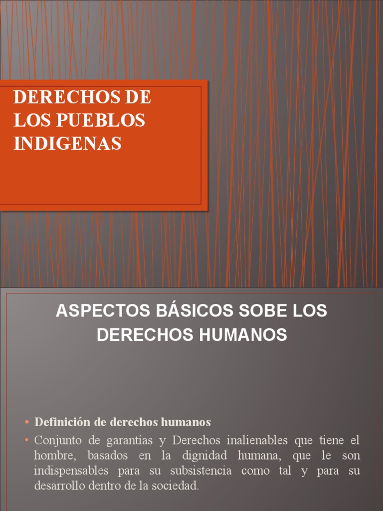 Derechos Humanos de Pueblos Indígenas | PDF | Derechos humanos | Estado ...