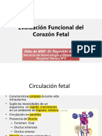 Evaluacion-Funcional Del Crazon