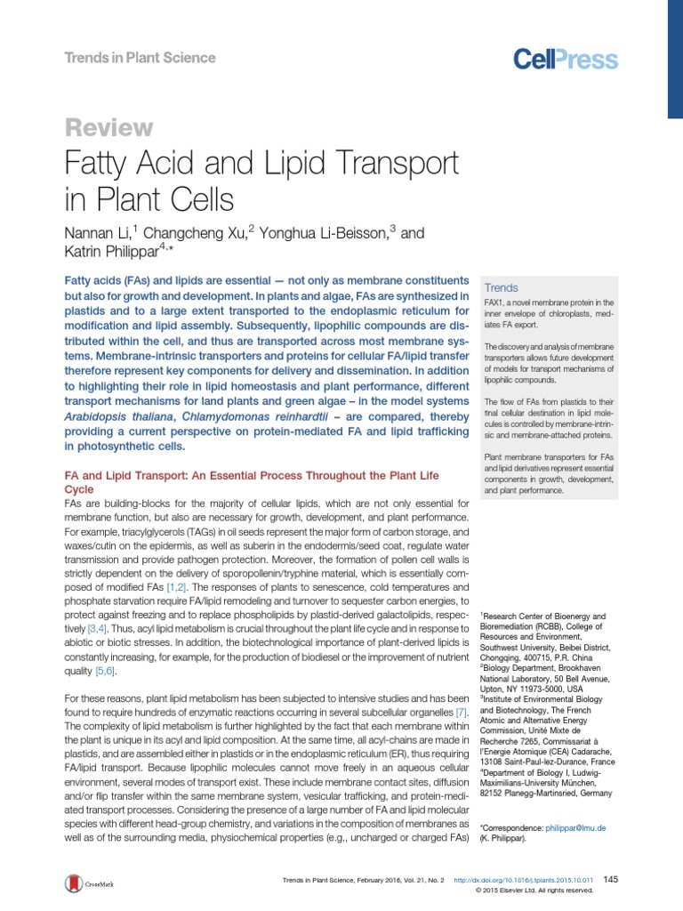 Fatty Acid and Lipid Transport | PDF | Lipid | Cell Membrane