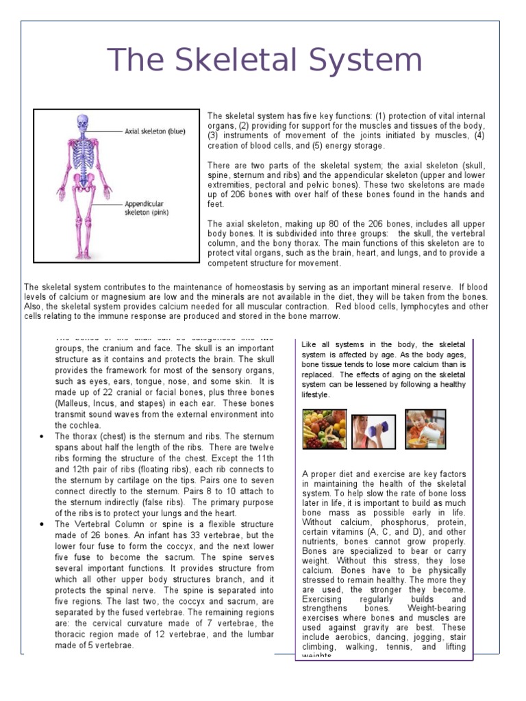 skeletal system assignment pdf free download
