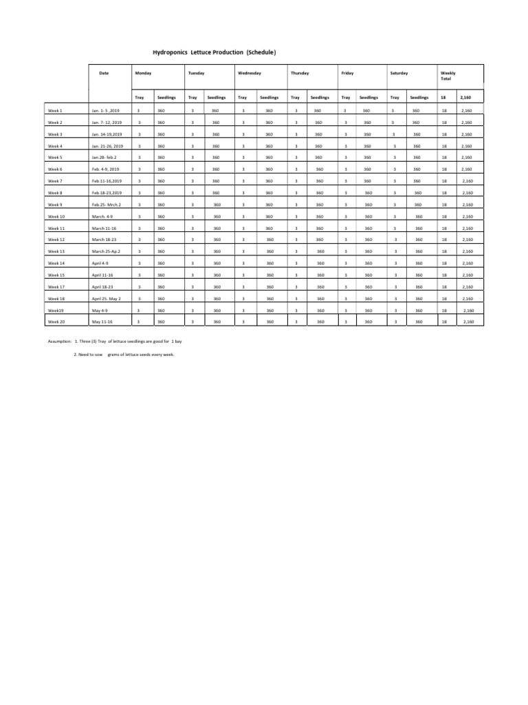 Hydroponics Lettuce Production (Schedule) PDF