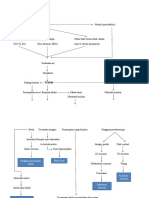 Pathway Tumor Paru