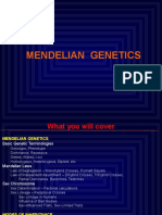 1 Mendelian Genetics