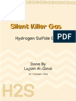 H2S the Silent Killer 1641696876