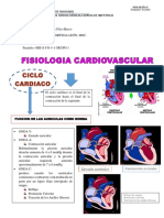 Ciclo Cardiaco Resumen
