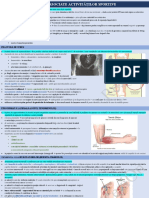 LEZIUNI ASOCIATE ACTIVIT-é+ÜILOR SPORTIVE