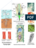 Cours - L1 - Intro A La Physiologie Vegetale