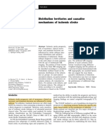 Distribution and Causes of Ischemic Strokes