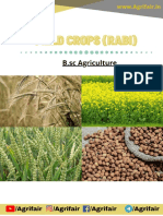 FIELD CROPS RABI With Multiple Choice Questions
