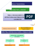 CAP3 ESTRUCTURAS APARATO LOCOMOTOR