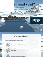Ce Animal Polar Sunt Eu Joc Interactiv Powerpoint - Ver - 1
