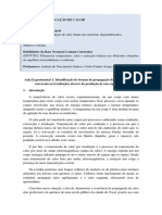 Relatório Investigativo Formas de Propagação de Calor