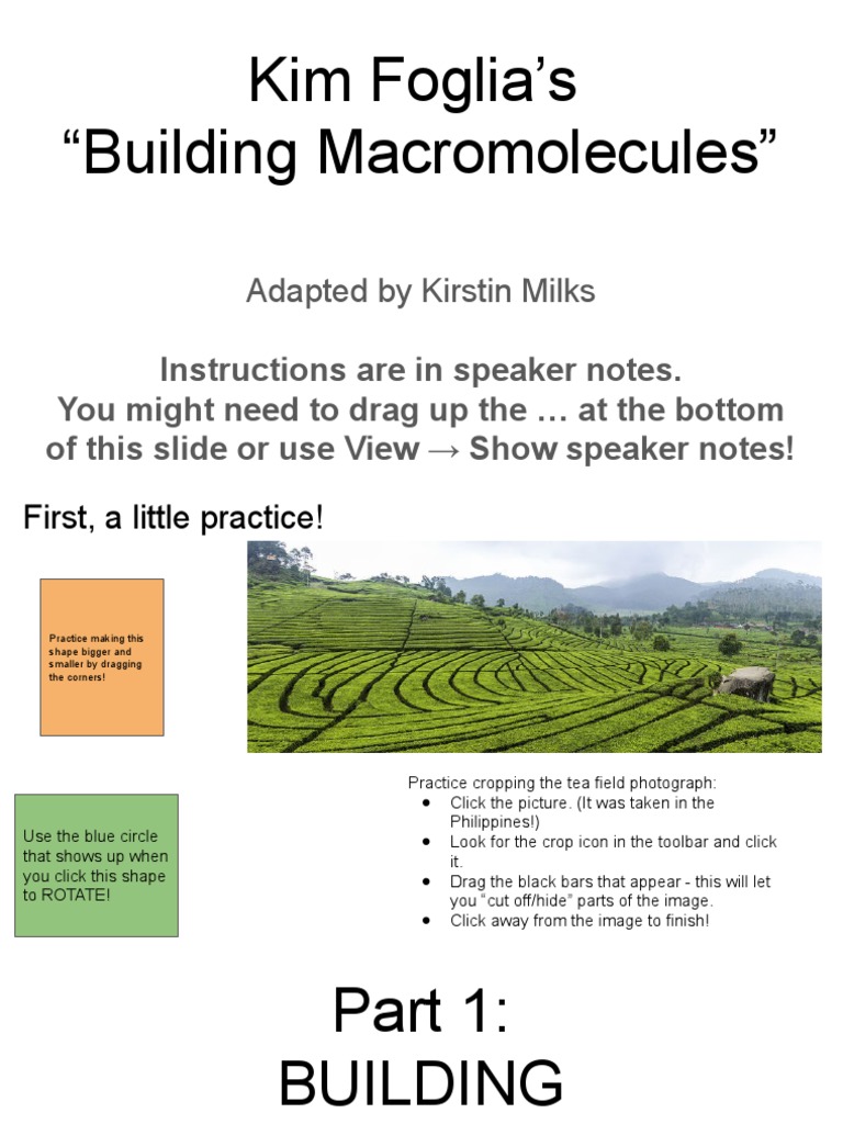 Kim Foglia's Building Macromolecules, Digital Edition Workspace | PDF ...
