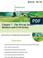 Chapter 7 - The Private Sector - Business and Civil Society