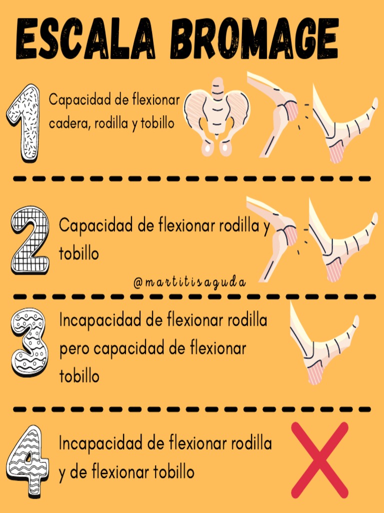 Escala De Bromage | Images and Photos finder