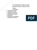 Problematicas Socioambientales en Barbacoas Nariño