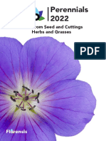 Perennials 2022 - DUT ENG GER