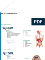 Aula 09 - Anatomia Sistêmica