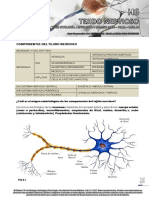 H6 - TEJIDO NERVIOSO 2017 WEB 75-84
