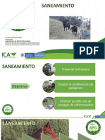 Saneamiento Curso Équidos BPG 2020