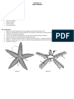 PRÁCTICO Equinodermos