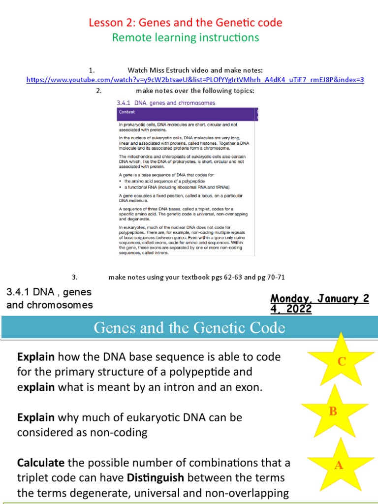 Understanding Genes and Genetic Code | PDF | Genetic Code | Gene