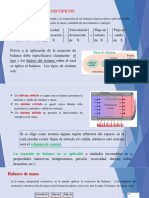 Balances Macroscópicos