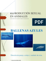 Reproducción Sexual en Animales