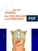 M30 2021 Clase 18 Hígado, Vías Biliares y Páncreas (Caylá)