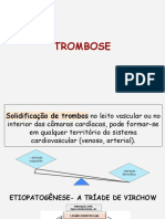 Trombose 06.06