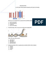 DNA Replication Process Explained in 15 Steps