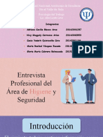 Entrevista Profesional Del Área de Higiene y Seguridad