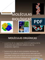 Moléculas Biológicas