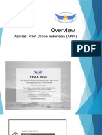 01 Overview APDI