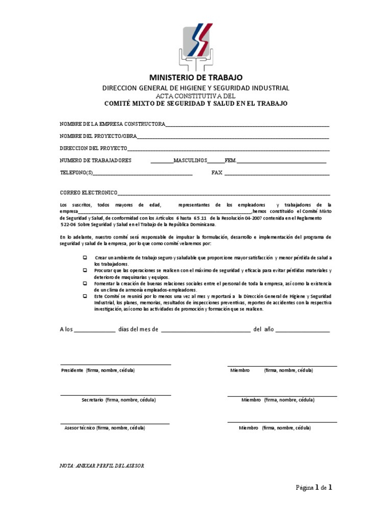 Acta Constitutiva Comité Seguridad y Salud | PDF