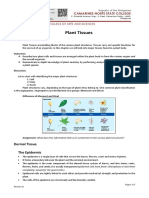 Plant Tissues