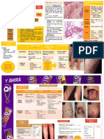 Esquemas Muy Graficos DERMA