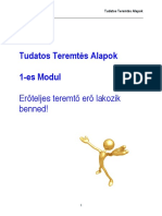 Tudatos Teremtés Alapok