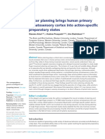 Motor Planning Brings Human Primary Somatosensory Cortex Into Action-Specific Preparatory States