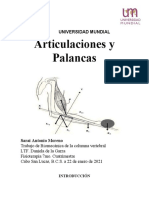 Biomecanica Palancas