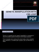Genetic Manipulation With Cre-loxP, SY