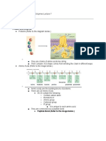 Proteins and Enzymes Lecture 7